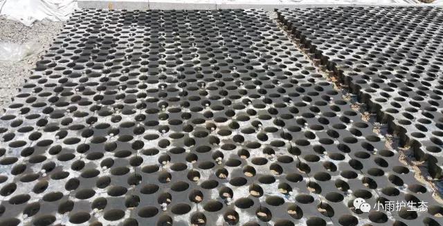 1545115243778253.jpg 12.jpg