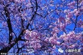 1545115519371283.jpg 20.jpg